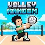 Volleyball Random