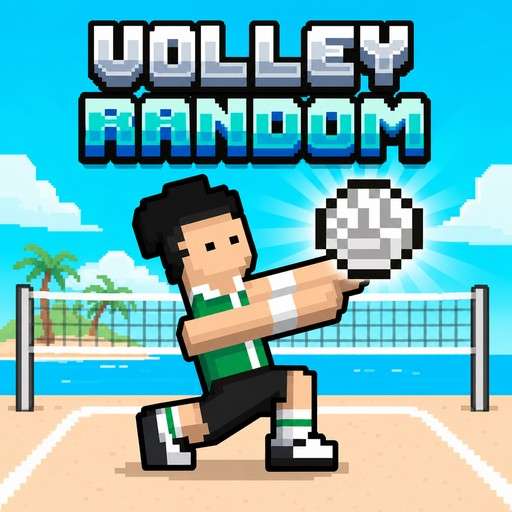 Volleyball Random